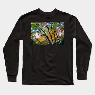 Beautiful Autumn Trees Long Sleeve T-Shirt